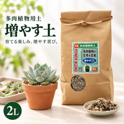new_fuyasututi